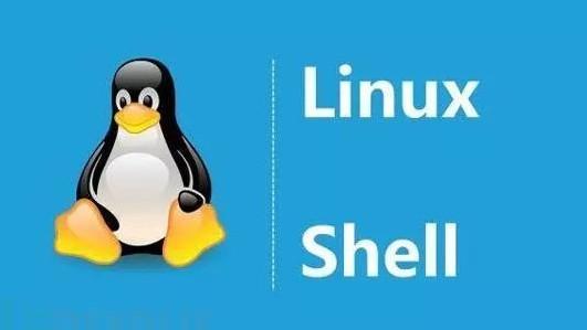 宝塔计划任务Shell脚本定时删除某各目录下所有文件【记录】